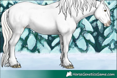 Horse Color:White Spotted Silver Brown Pearl Tobiano Frame Snowcap Rabicano 