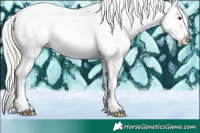 Horse Color:White Spotted Silver Brown Pearl Tobiano Frame Appaloosa Rabicano