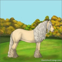 Horse Color:Palomino Dun 