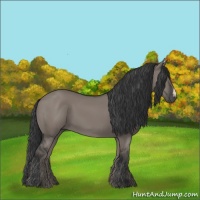 Horse Color:Grullo 