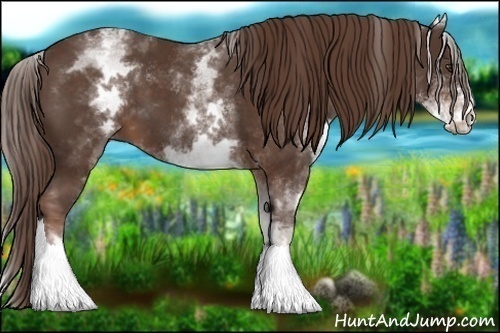 Horse Color:White Spotted Liver Chestnut Sabino 