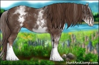 Horse Color:White Spotted Liver Chestnut Sabino