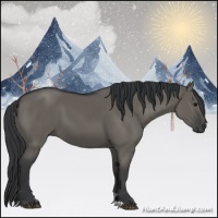 Horse Color:Grullo 