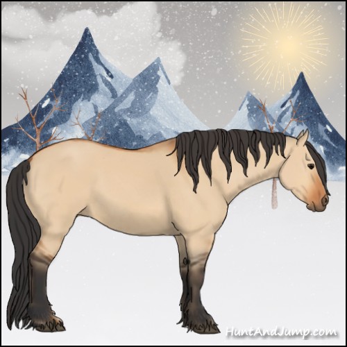 Horse Color:Bay Dun 