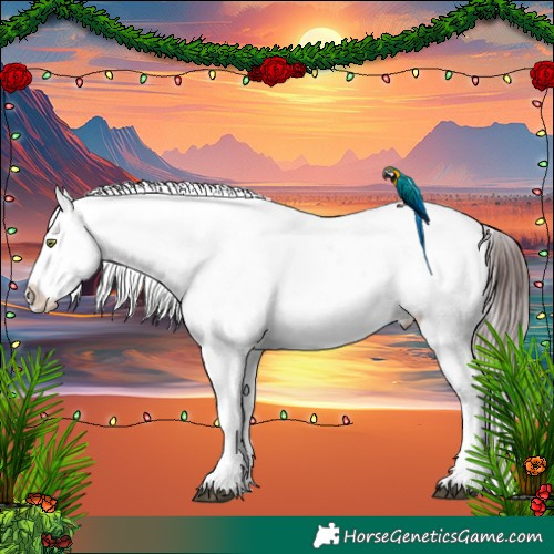 Horse Color:White Spotted Chocolate Brown Appaloosa 