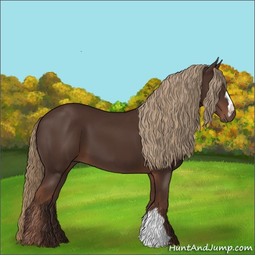 Horse Color:Liver Chestnut