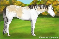 Horse Color:White Spotted Amber Cream Champagne Dun Splash 