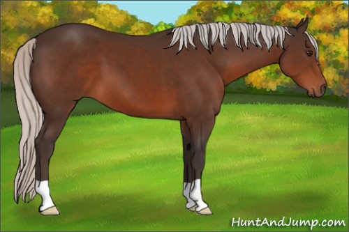 Horse Color:Silver Brown