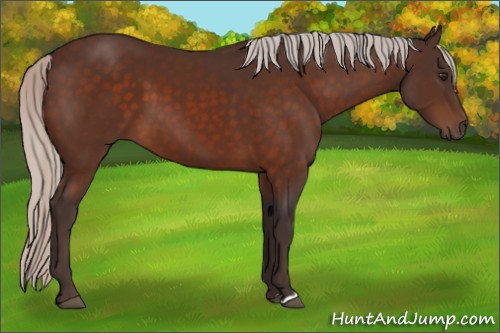 Horse Color:Silver Brown