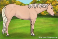 Horse Color:Watercolor Silver Smoky Black