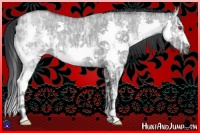 Horse Color:Grullo Chinchilla Ice Splash