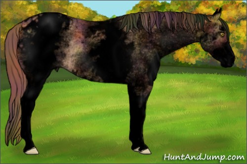 Horse Color:Void Nacre White Spotted Gold Champagne Blanket Rabicano