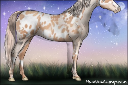 Horse Color:Gold Champagne Frame Near Leopard and Gold Champagne Frame Blanket