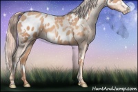 Horse Color:Gold Champagne Frame Near Leopard  and Gold Champagne Frame Blanket 