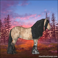 Horse Color:Bay Dun  and Bay Dun 