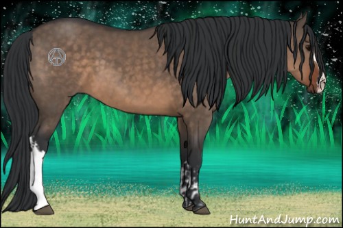 Horse Color:Brown Dun  and Brown Dun 