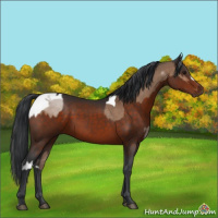Horse Color:Bay Dun Tobiano  and Brown 