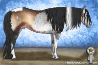 Horse Color:Brown Chinchilla Dun  and Brown Onyx Tobiano 