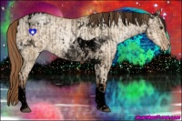 Horse Color:Void Grullo Pearl Tobiano Rabicano and Void Bay Pearl Dun Tobiano Rabicano