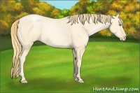 Horse Color:Buckskin Roan Pearl and Buckskin Roan Pearl Rabicano