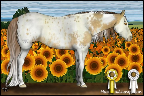 Horse Color:White Spotted Buckskin Dun Splash Blanket Rabicano