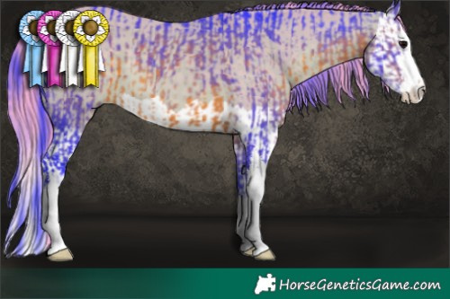 Horse Color:Watercolor White Spotted Brown and Watercolor Brown Dun Splash
