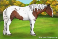 Horse Color:Silver Brown Tobiano Rabicano