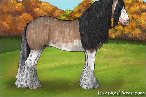 Horse Color:Bay Dun  and Bay Dun Splash 