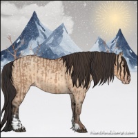 Horse Color:Bay Dun  and Amber Champagne Dun 