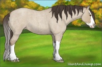 Horse Color:Classic Champagne Roan Dun Splash