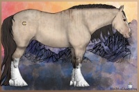 Horse Color:Bay Dun  and Amber Champagne Dun 