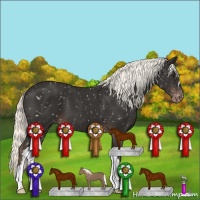 Horse Color:Liver Chestnut Mushroom Snowflake Varnish 
