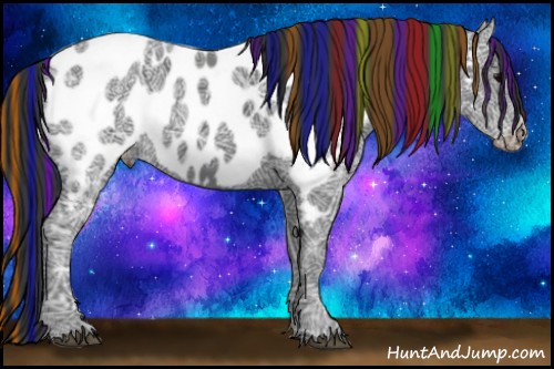Horse Color:Painted Black Ice Appaloosa 
