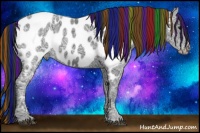 Horse Color:Painted Black Ice Appaloosa