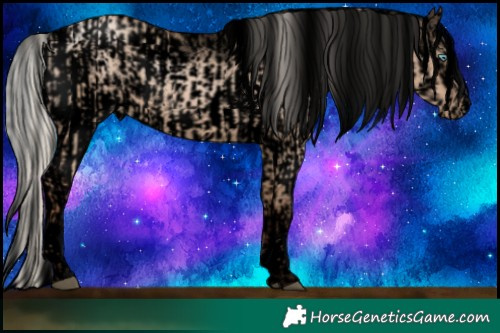 Horse Color:Void White Spotted Silver Grullo Pearl Rabicano  and Void White Spotted Silver Classic Champagne Roan Dun Splash Appaloosa Rabicano 