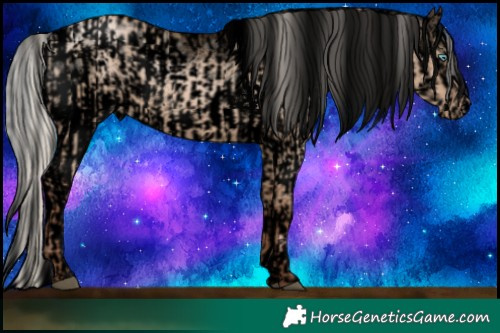 Horse Color:Void White Spotted Silver Grullo Pearl Rabicano  and Void White Spotted Silver Classic Champagne Roan Dun Splash Near Leopard Rabicano 