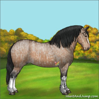 Horse Color:Brown Roan Dun  and Brown Roan Dun 