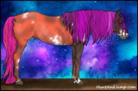 Horse Color:Painted White Spotted Liver Chestnut Frame Rabicano 