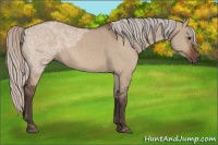 Horse Color:Silver Brown Ice Dun Sabino Rabicano 