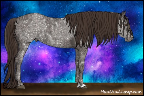 Horse Color:Liver Chestnut Ice Sabino Rabicano 