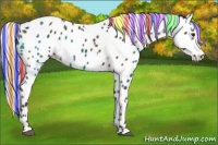 Horse Color:Painted White Spotted Silver Brown Appaloosa Rabicano 