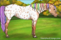Horse Color:Painted White Spotted Silver Bay Dun Appaloosa Rabicano 