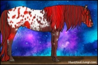 Horse Color:Painted White Spotted Liver Chestnut Blanket Rabicano