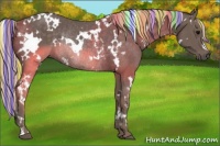 Horse Color:Painted White Spotted Silver Black Rabicano 