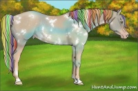 Horse Color:Painted White Spotted Gold Champagne Rabicano