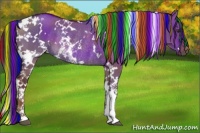 Horse Color:Painted White Spotted Liver Red Dun Rabicano 