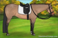 Horse Color:Bay Dun  and Bay Dun 