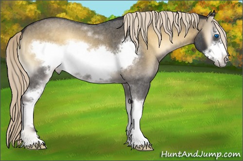 Horse Color:White Spotted Chocolate Palomino Roan Onyx Mushroom Frame 