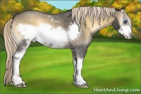 Horse Color:White Spotted Chocolate Palomino Roan Onyx Mushroom Frame