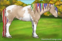 Horse Color:Painted Chocolate Palomino Pearl Tobiano Frame 